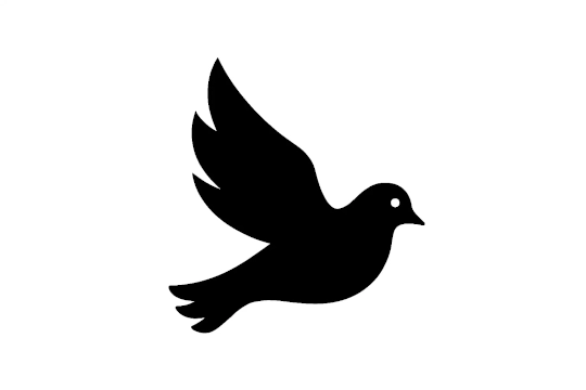 Taube - der Heilige Geist