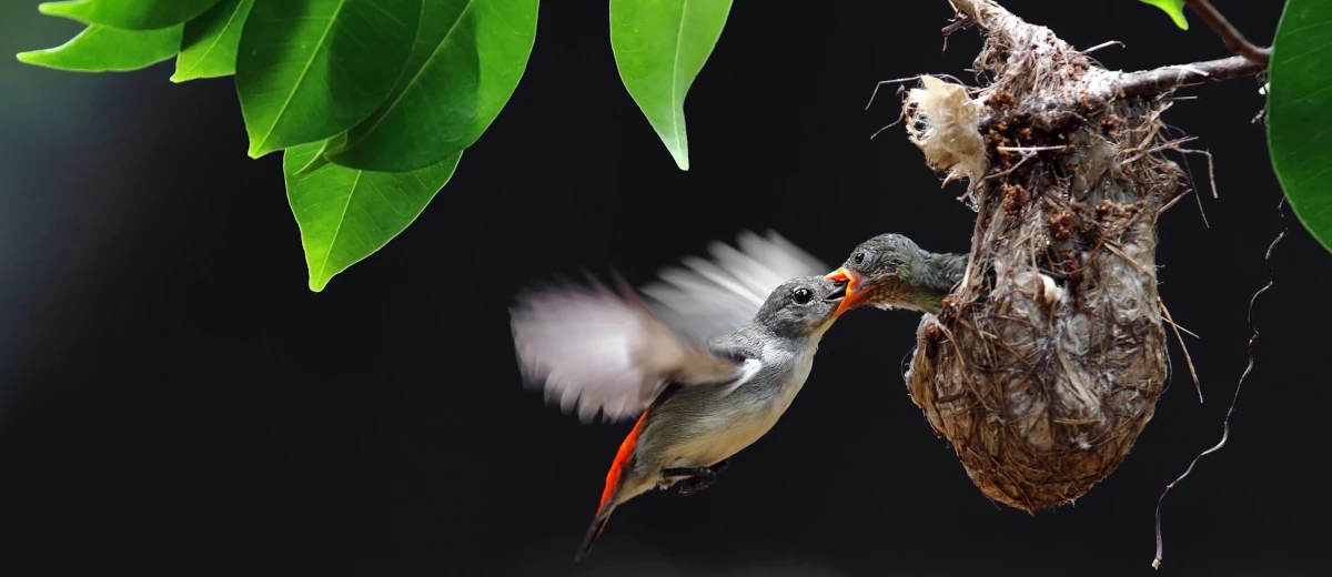 Muttertag Christentum